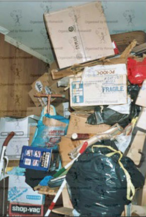 Example of hoarding before professional organizer