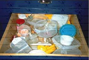 Drawer full of food storage containers